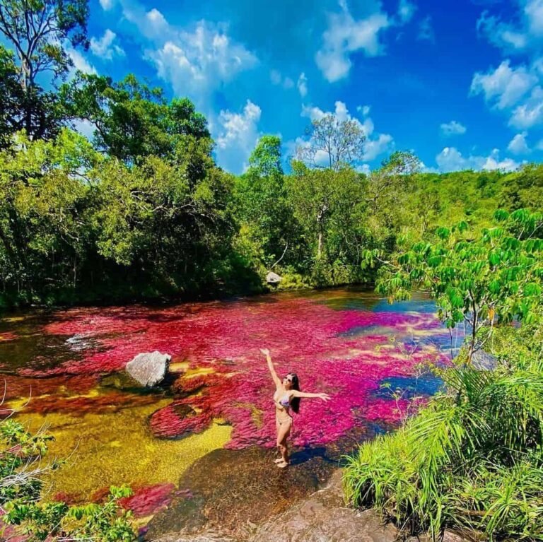 Caño Cristales — El río de los cinco colores